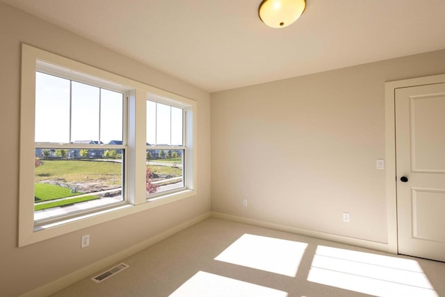 6520 Timber Arch Dr, Chaska, MN 55318 - photo 22