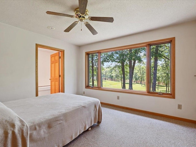 17741 River Rd, Crosby, MN 56441 - photo 12