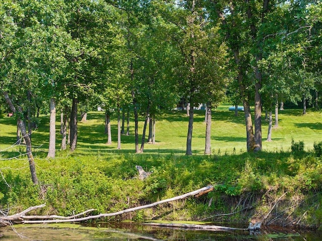 17741 River Rd, Crosby, MN 56441 - photo 30