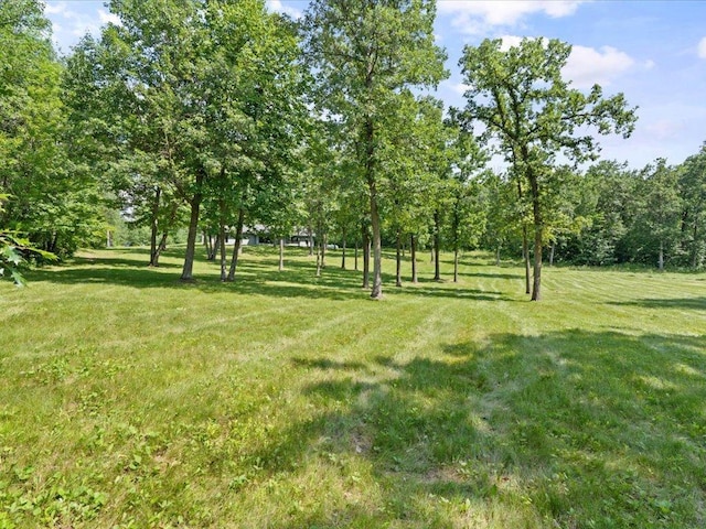 17741 River Rd, Crosby, MN 56441 - photo 36
