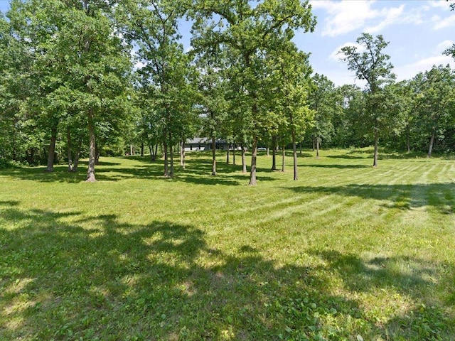 17741 River Rd, Crosby, MN 56441 - photo 37