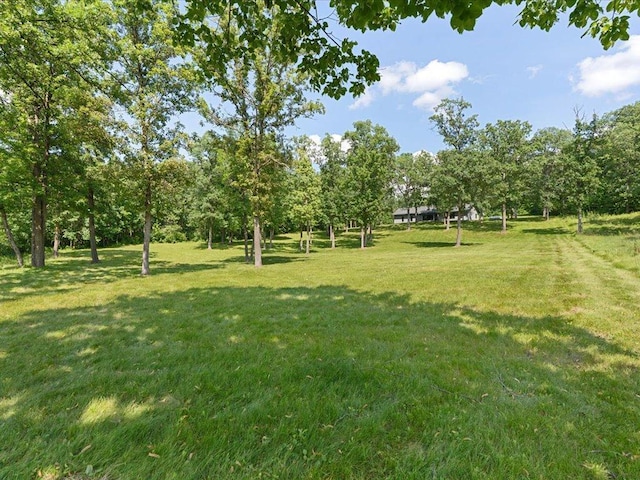 17741 River Rd, Crosby, MN 56441 - photo 39