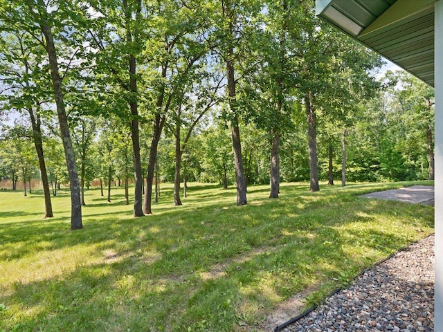 17741 River Rd, Crosby, MN 56441 - photo 41