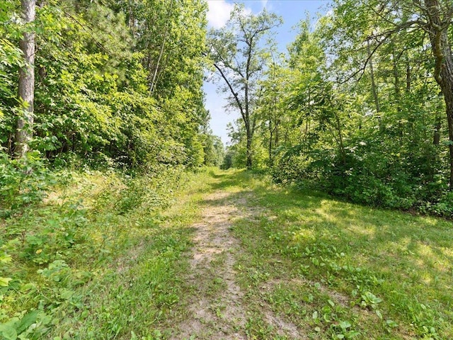 17741 River Rd, Crosby, MN 56441 - photo 43