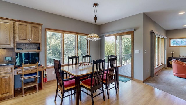 4550 Summit Pointe Pl NW, Rochester, MN 55901 - photo 15
