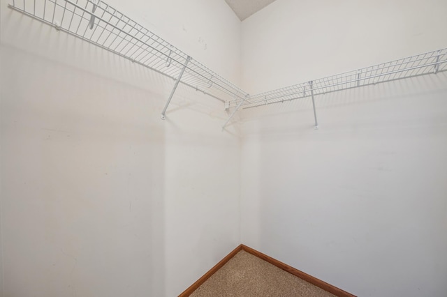 9514 Vera Cruz Ln N, Brooklyn Park, MN 55443 - photo 18