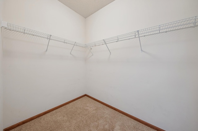 9514 Vera Cruz Ln N, Brooklyn Park, MN 55443 - photo 24