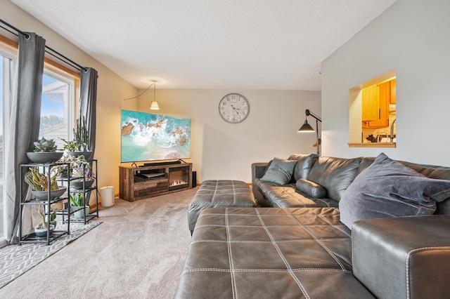 7317 Bond Way Unit 13, Inver Grove Heights, MN 55076 - photo 3