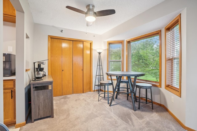 7317 Bond Way Unit 13, Inver Grove Heights, MN 55076 - photo 6