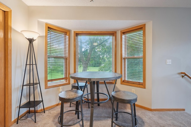 7317 Bond Way Unit 13, Inver Grove Heights, MN 55076 - photo 7