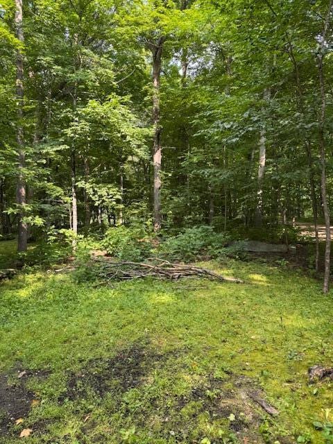 16672 County Road 64 NE, Miltona, MN 56354 - photo 5