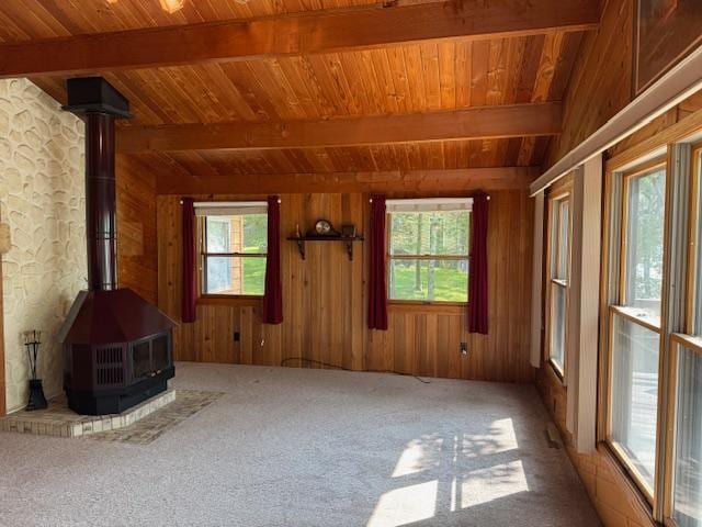 16672 County Road 64 NE, Miltona, MN 56354 - photo 16