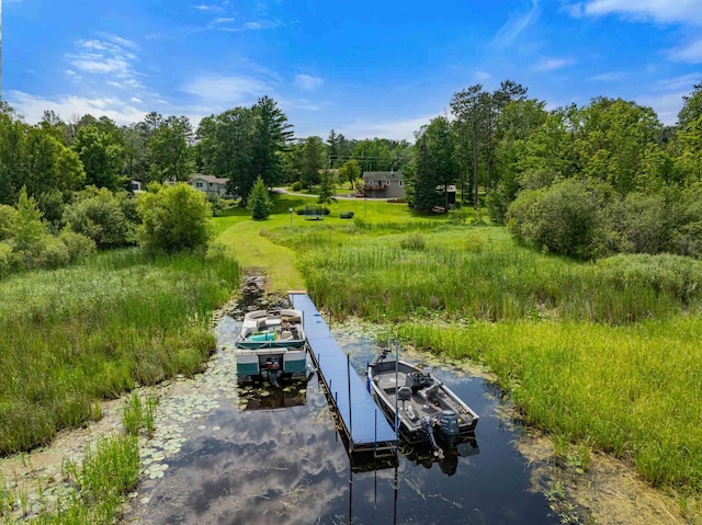 25764 River Rd, Cohasset, MN 55721 - photo 5