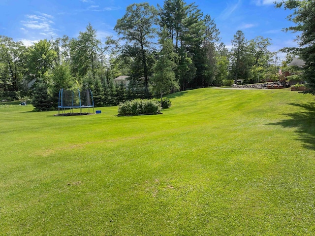 25764 River Rd, Cohasset, MN 55721 - photo 47