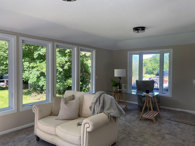 17182 Crosstown Blvd NW, Andover, MN 55304 - photo 4