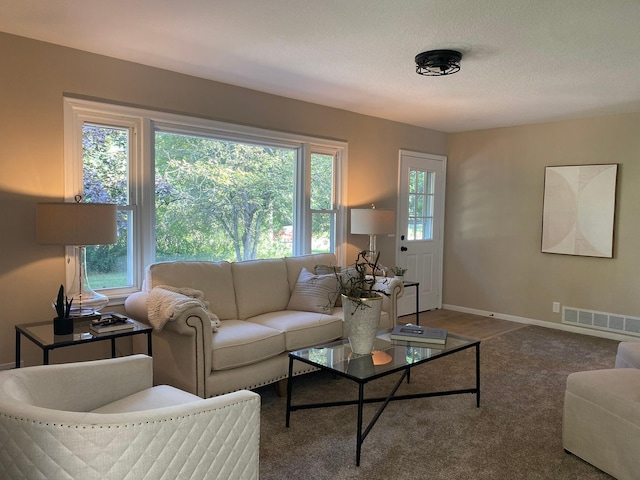 17182 Crosstown Blvd NW, Andover, MN 55304 - photo 7