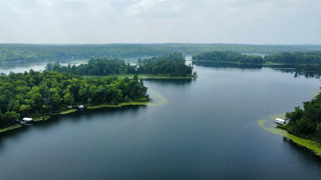 29860 Sugarbush Rd, Sugar Bush E Twp, MN 56569 - photo 8