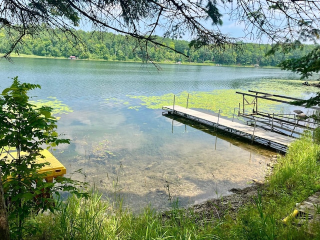 29860 Sugarbush Rd, Sugar Bush E Twp, MN 56569 - photo 9