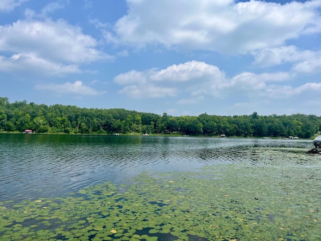 29860 Sugarbush Rd, Sugar Bush E Twp, MN 56569 - photo 12