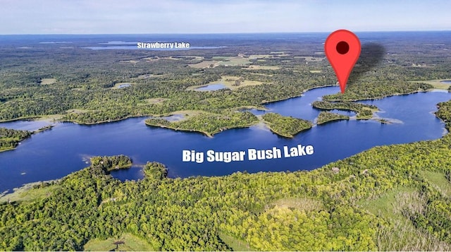 29860 Sugarbush Rd, Sugar Bush E Twp, MN 56569 - photo 1