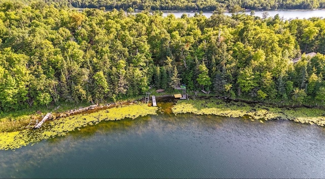 29860 Sugarbush Rd, Sugar Bush E Twp, MN 56569 - photo 19