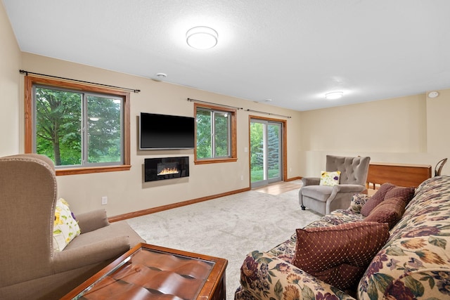 1102 Summit Cv, Dassel, MN 55325 - photo 24