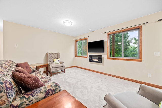 1102 Summit Cv, Dassel, MN 55325 - photo 25