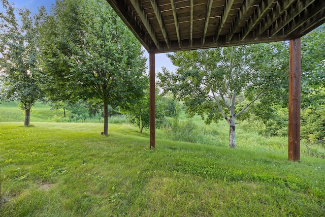 1102 Summit Cv, Dassel, MN 55325 - photo 35
