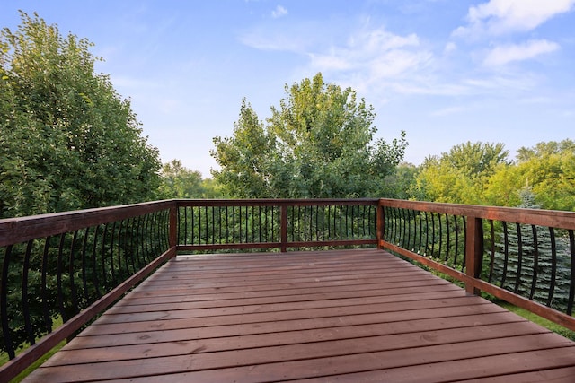 1102 Summit Cv, Dassel, MN 55325 - photo 46