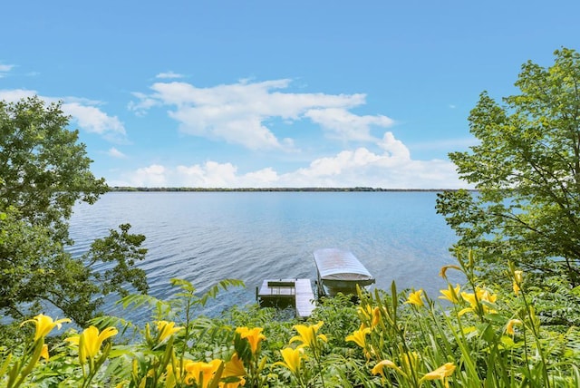 9386 Rocky Point Trl, Lake Shore, MN 56468 - photo 1