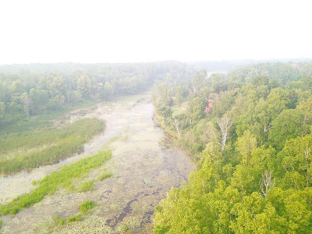 TBD Spruce Ln NW, Baudette, MN 56623 - photo 4