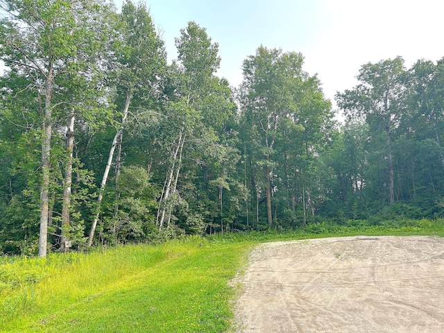 TBD Spruce Ln NW, Baudette, MN 56623 - photo 8