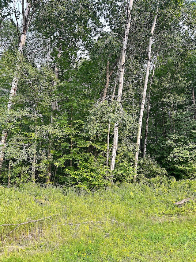 TBD Spruce Ln NW, Baudette, MN 56623 - photo 9