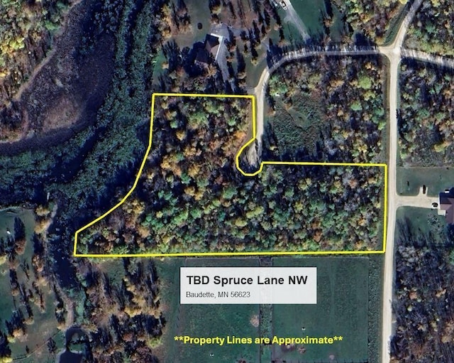 TBD Spruce Ln NW, Baudette, MN 56623 - photo 17
