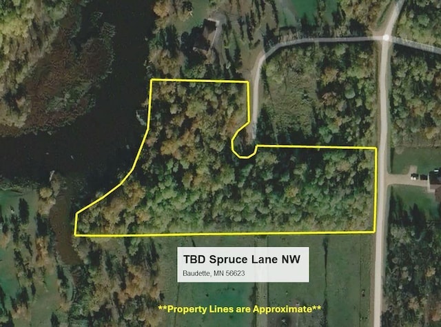 TBD Spruce Ln NW, Baudette, MN 56623 - photo 18