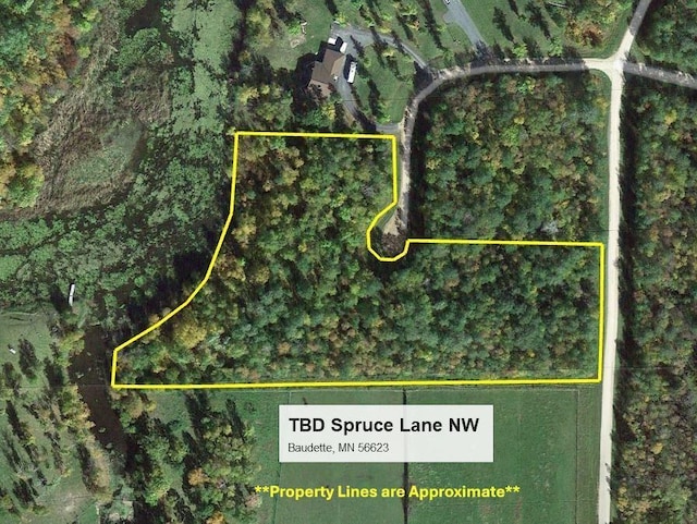 TBD Spruce Ln NW, Baudette, MN 56623 - photo 19