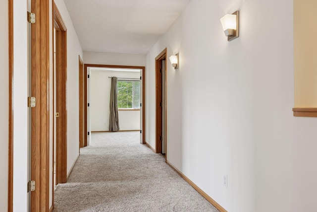 1828 Mockingbird Ave, Shakopee, MN 55379 - photo 27