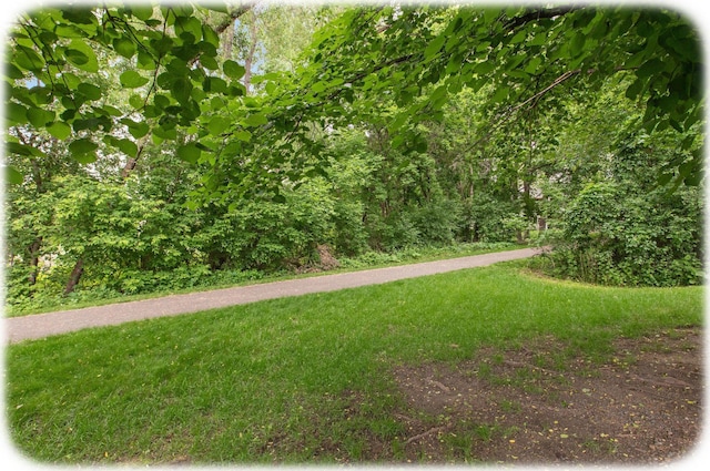 12055 93rd Pl N, Maple Grove, MN 55369 - photo 43