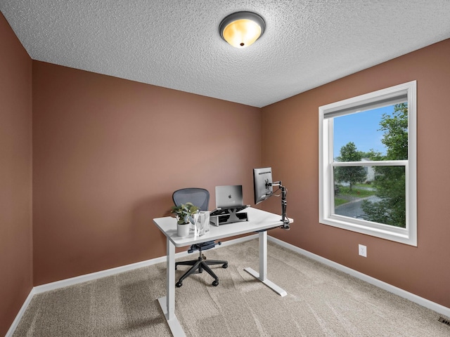 232 Pine Hollow Dr, Circle Pines, MN 55014 - photo 22