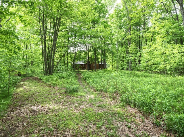 14534 290th Ave Unit B, Sampson Twp, WI 54757 - photo 40