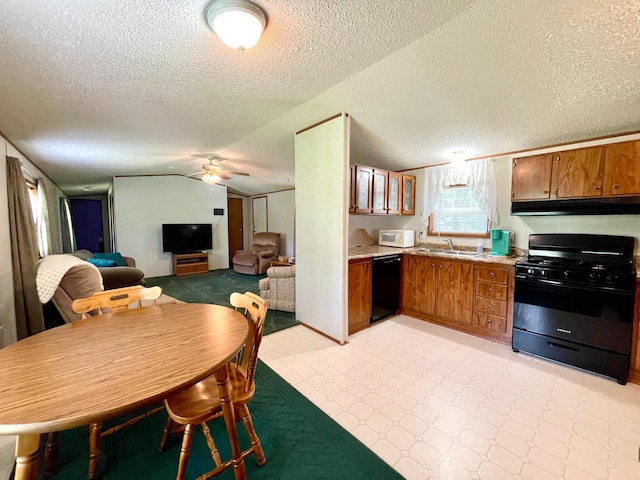 510 Old Willow Ct NW, Grant Valley Twp, MN 56601 - photo 10