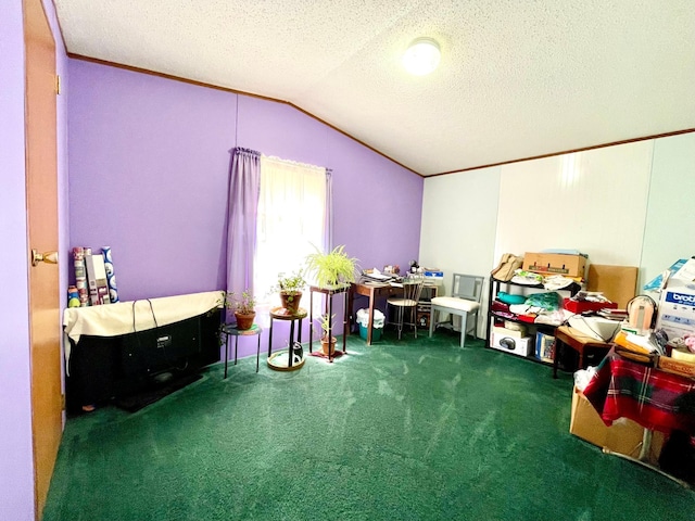 510 Old Willow Ct NW, Grant Valley Twp, MN 56601 - photo 23