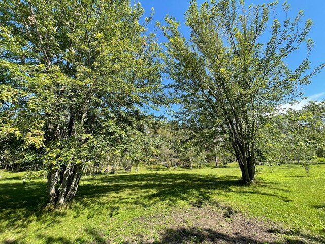 510 Old Willow Ct NW, Grant Valley Twp, MN 56601 - photo 30