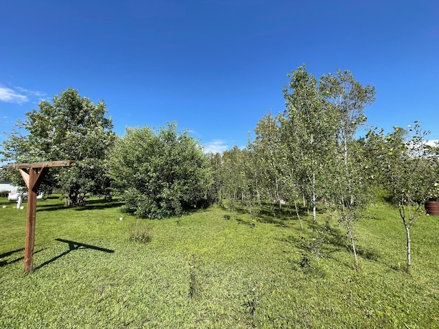 510 Old Willow Ct NW, Grant Valley Twp, MN 56601 - photo 31