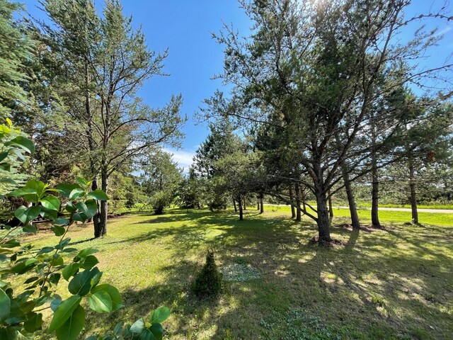 510 Old Willow Ct NW, Grant Valley Twp, MN 56601 - photo 32