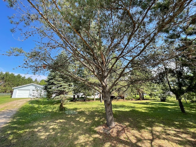 510 Old Willow Ct NW, Grant Valley Twp, MN 56601 - photo 33