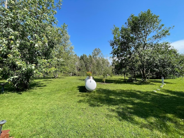510 Old Willow Ct NW, Grant Valley Twp, MN 56601 - photo 34