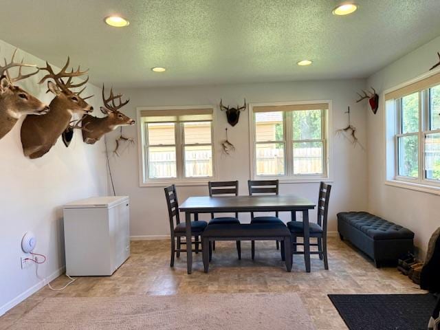 307 Main St E, Caledonia, MN 55921 - photo 9