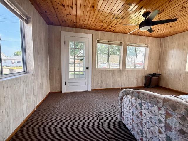307 Main St E, Caledonia, MN 55921 - photo 25