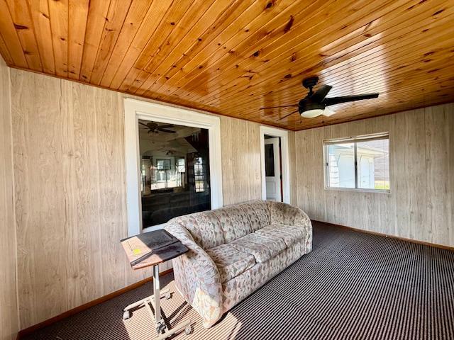 307 Main St E, Caledonia, MN 55921 - photo 26